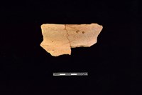 藏品(陶罐)的圖片